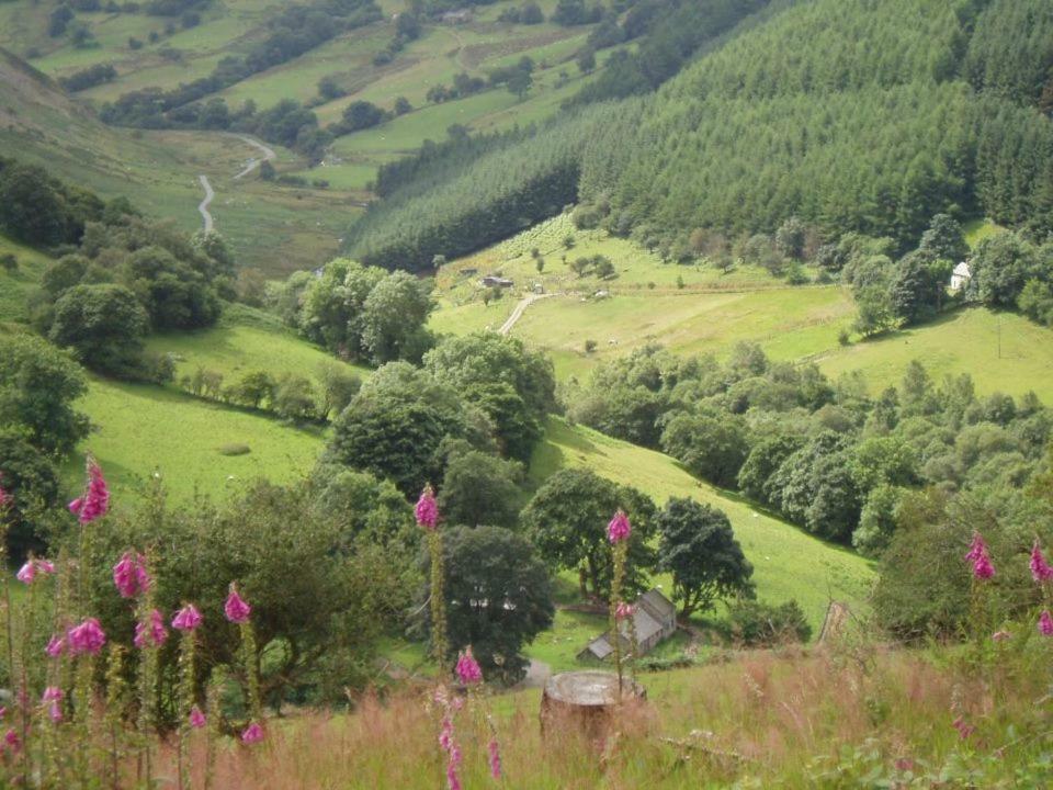 Glyn Mawr Barn Bala Exterior foto